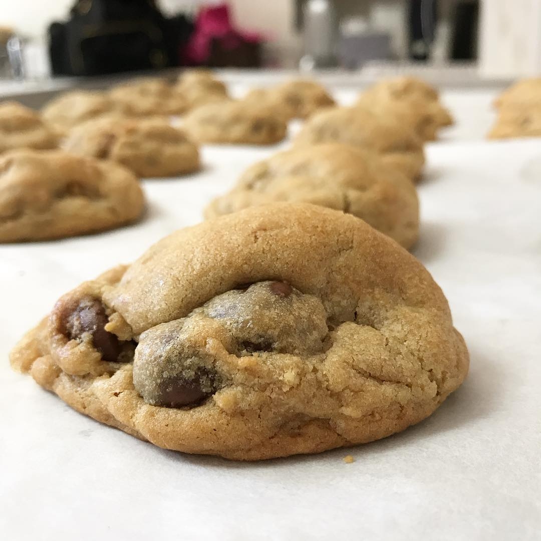 S'mores Pudgie